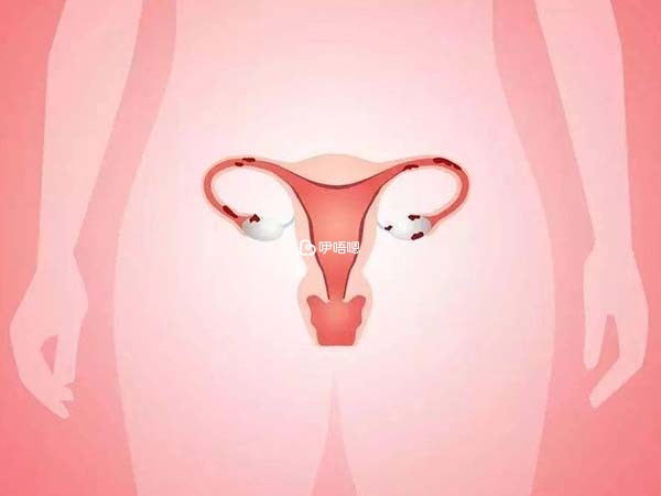 多囊患者服用妥運可改善卵子質量
