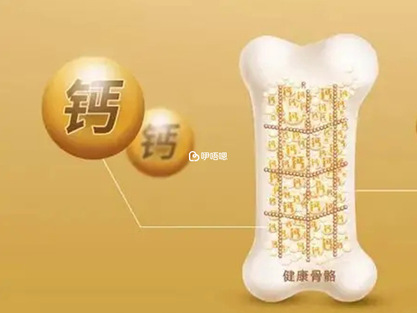 懷孕4個月是補鈣的黃金時間