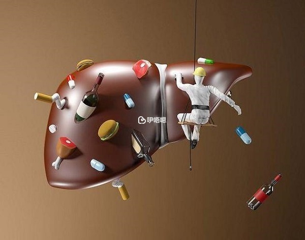 不當使用滋腎育胎丸會導致肝損傷