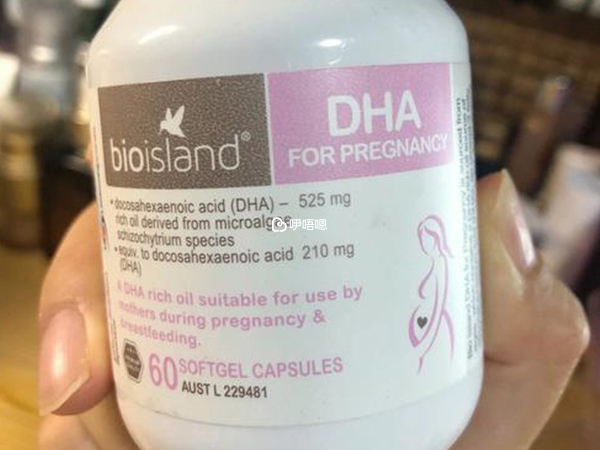 什麼是dha