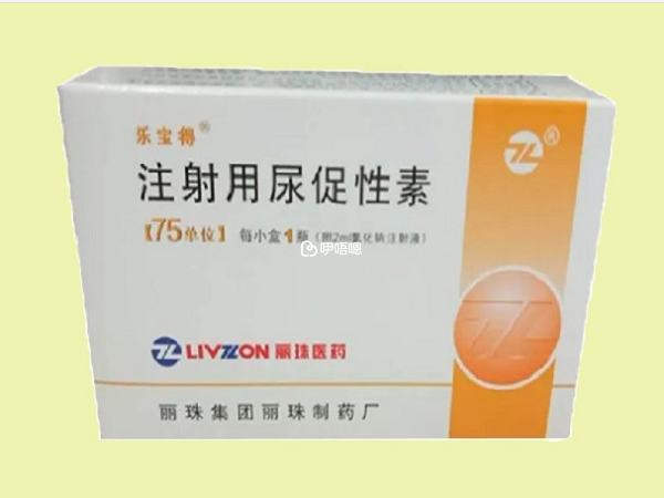 樂寶得能夠促進卵泡的生長髮育