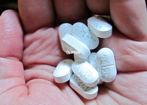 碧蘿芷價格