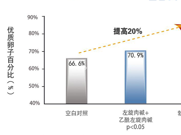 女版勃銳精的作用