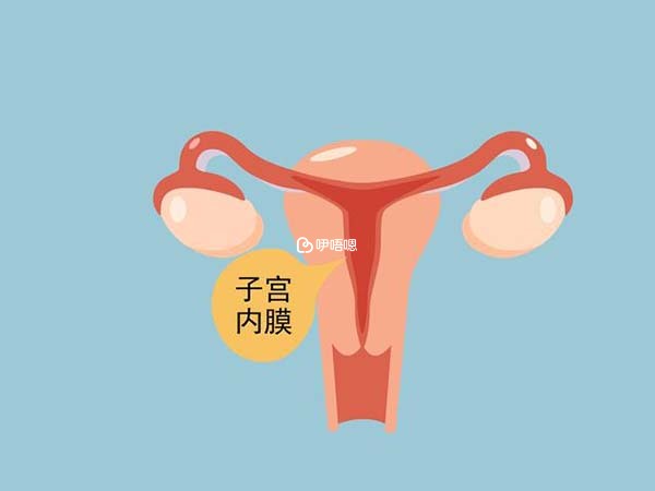 瑞白改善子宮內膜薄度