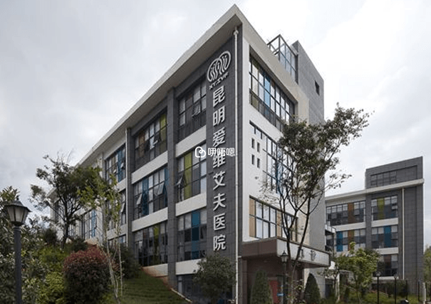 昆明愛維艾夫單週期試管費用在5-15萬左右