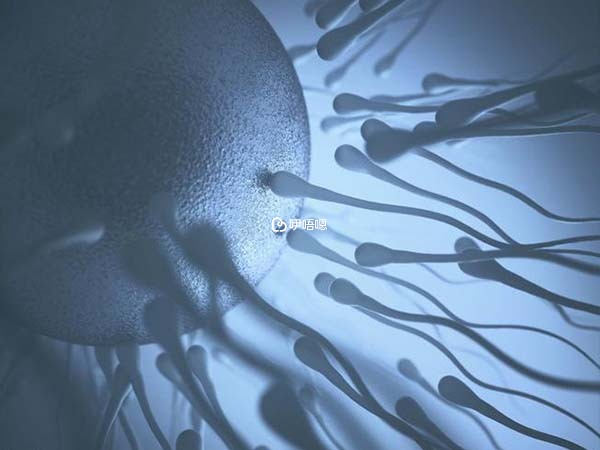 丹麥精子銀行CRYOS創辦歷史悠久