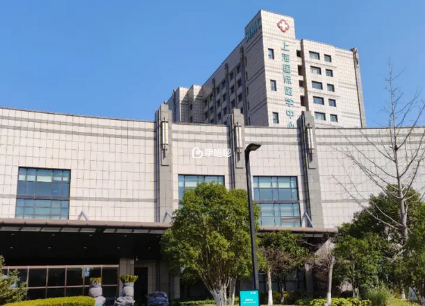 上海國際醫學中心的試管成功率達60%