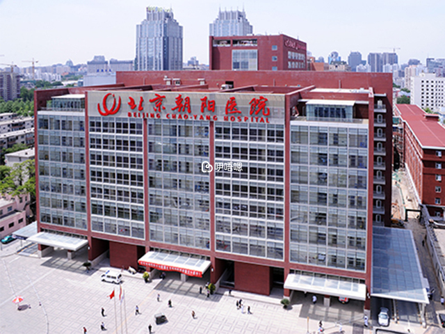 首都醫科大學附屬北京朝陽醫院