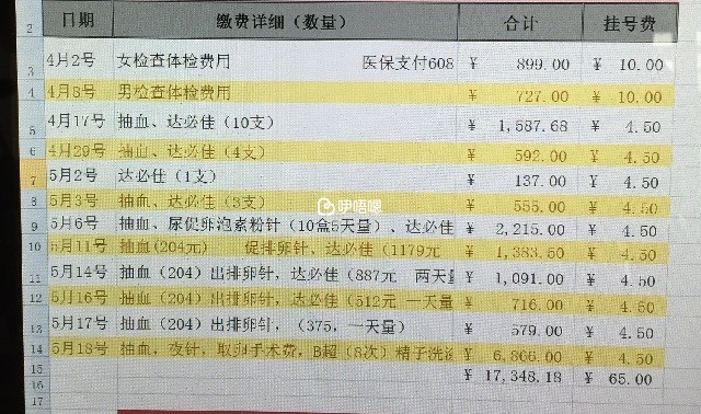 試管費用明細表