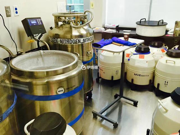 丹麥精子銀行CRYOS創辦歷史悠久