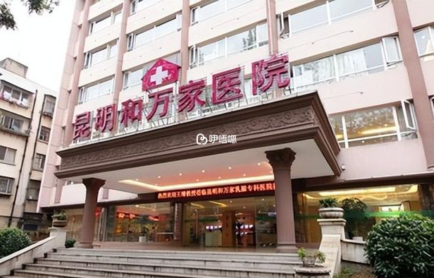 昆明和萬家做試管的費用還是挺高的