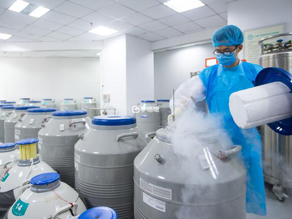 女性凍卵可為未來留下生育機會