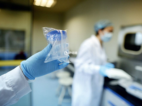 精液常規檢查專案