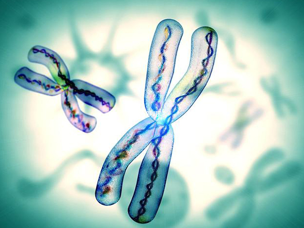精子分離術生男孩成功率並不是100%