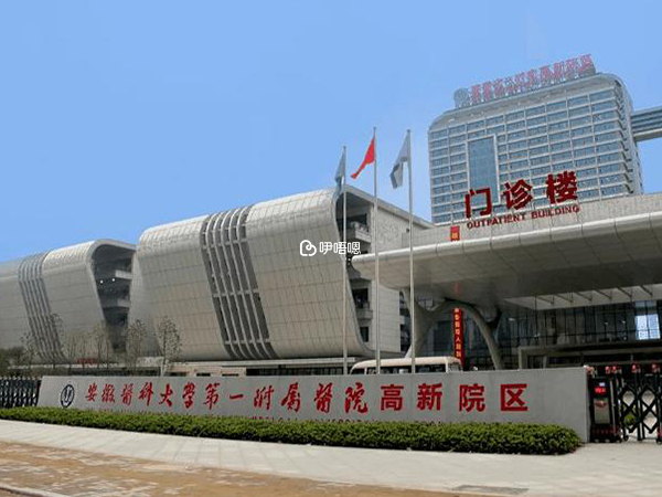 安醫附院試管嬰兒