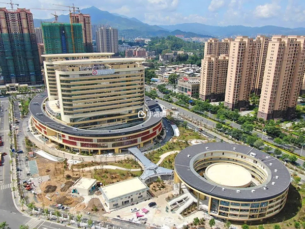 龍巖試管嬰兒