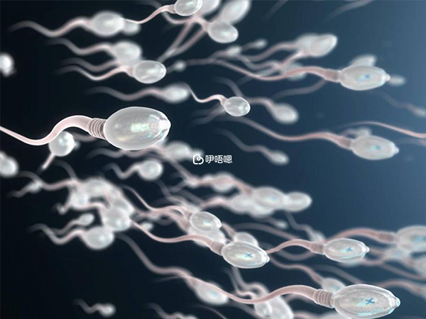 我國不允許精子買賣