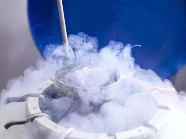 液氮精子冷凍室