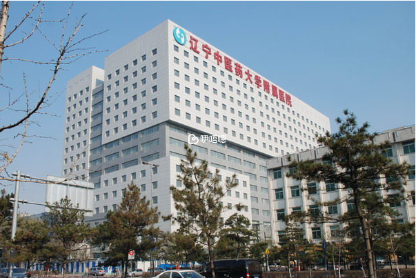 遼寧中醫藥大學附屬醫院生殖專家