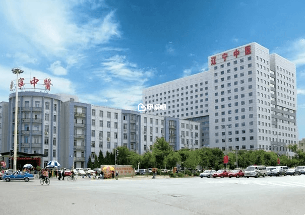 遼寧省中醫院試管嬰兒花費明細表