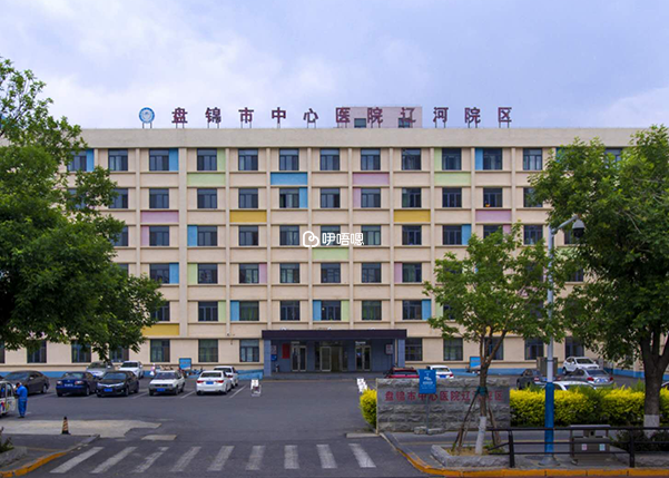 盤錦中心醫院試管成功率