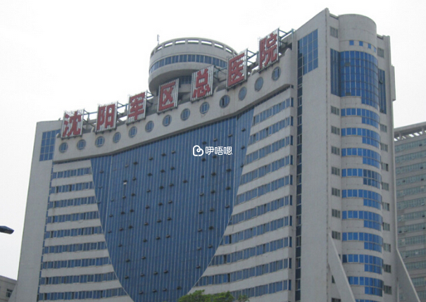 瀋陽202醫院即北部戰區總醫院和平院區