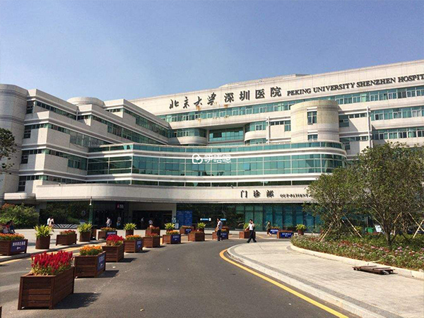 北京大學深圳醫院試管嬰兒成功率