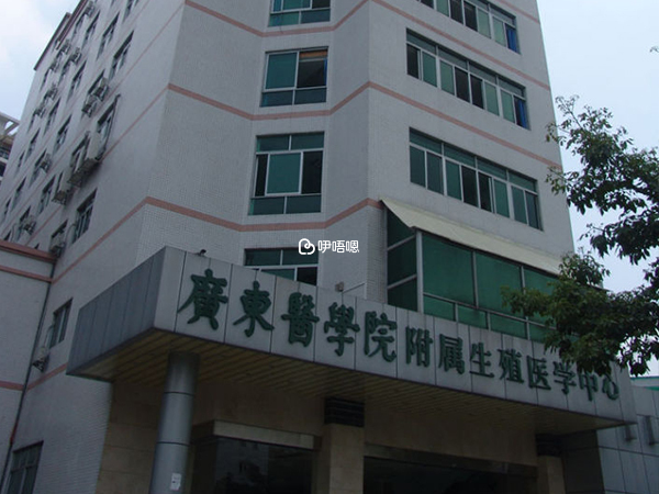 廣東醫科大學附屬醫院試管成功率