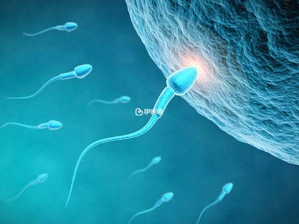 深圳婦幼人工授精