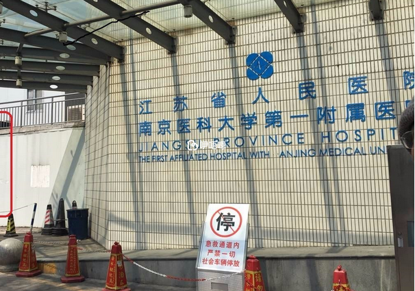 江蘇省人民醫院試管醫生