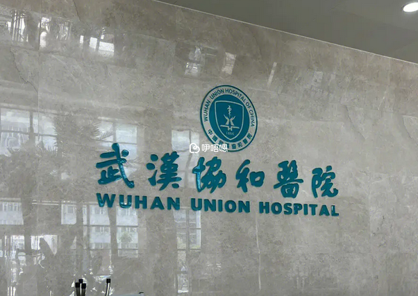 武漢協和醫院試管