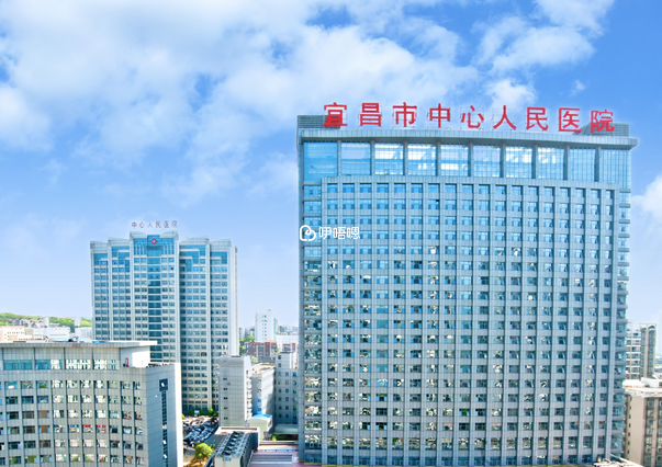 宜昌中心醫院試管嬰兒