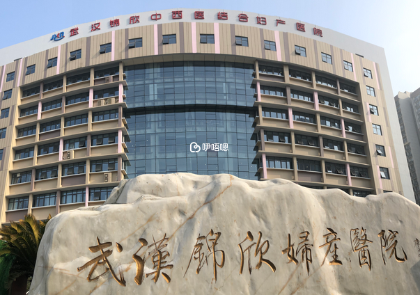 武漢黃浦中西醫結合婦產醫院能做試管