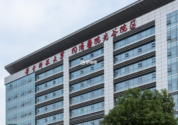 武漢同濟試管專家