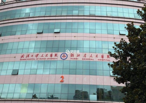 武漢大學人民醫院供卵