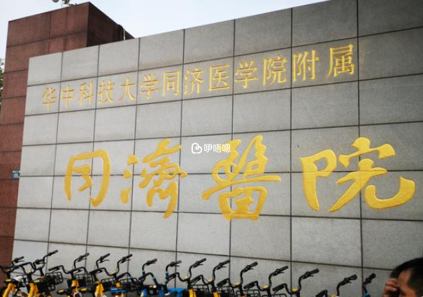 武漢同濟醫院