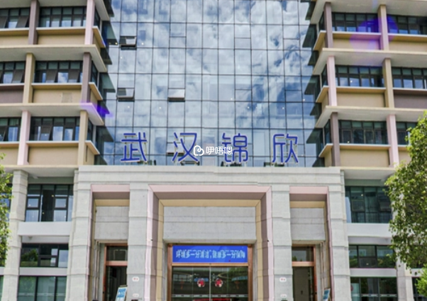 武漢黃浦醫院是一家民營醫院