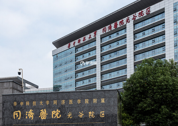 武漢同濟醫院可以做供卵試管
