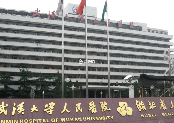 武漢大學人民醫院可以做試管