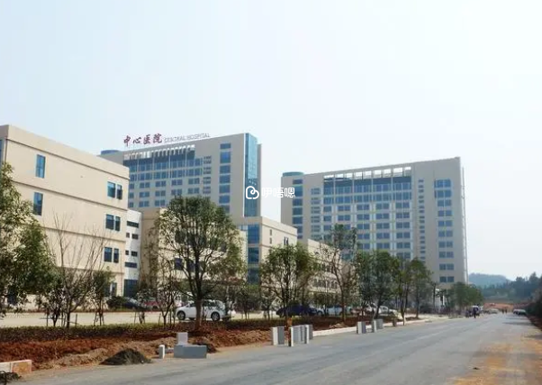 咸寧市中心醫院只能做人工授精