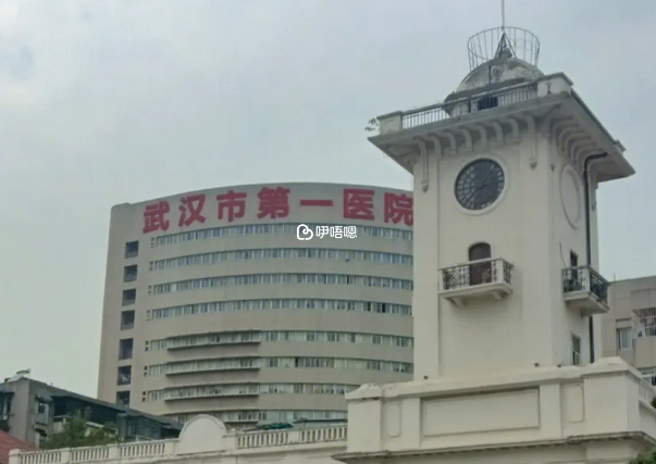 武漢市第一醫院試管嬰兒