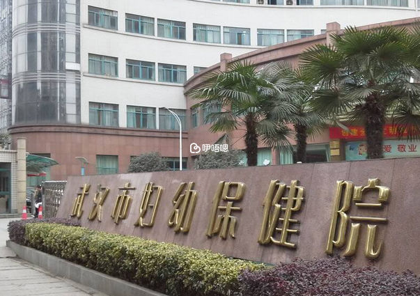 武漢婦兒中心試管嬰兒