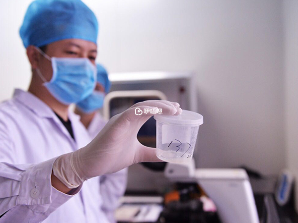 河北哪個醫院有精子庫