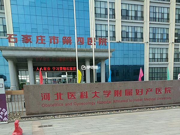 在石家莊四院可以做供精試管