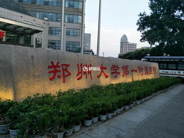 鄭大一附院試管費用