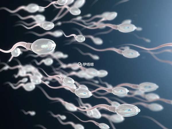 精子質量影響胎兒正常發育
