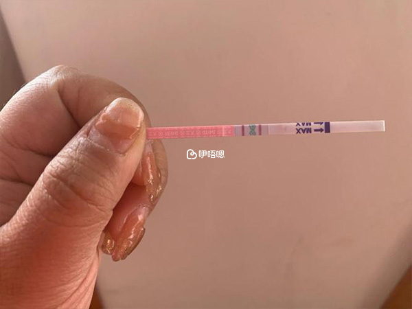 排卵試紙檢測是否排卵