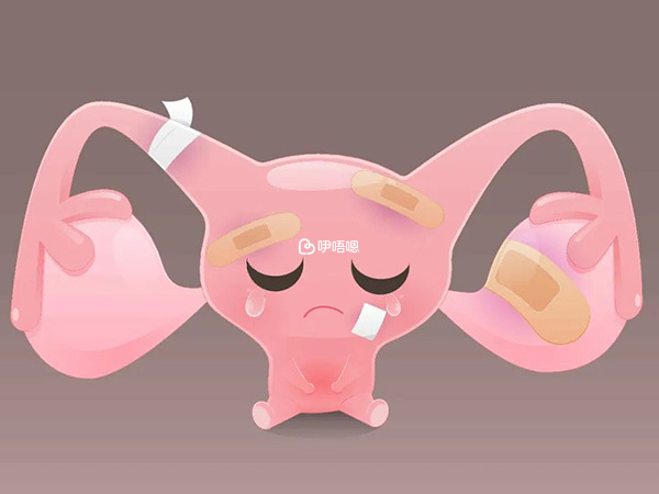 巧囊形成可能與不注意保暖有關