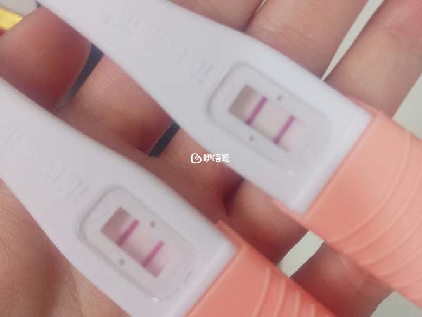 備孕三年終於懷孕
