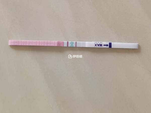 排卵試紙檢測排卵時間